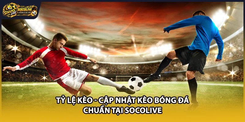 Tỷ Lệ Kèo - Cập Nhật Kèo Bóng Đá Chuẩn Tại Socolive